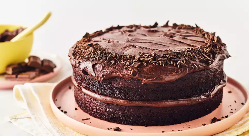 Chocolate Peanut Butter Cake - Vegan - Bianca Zapatka | Recipes