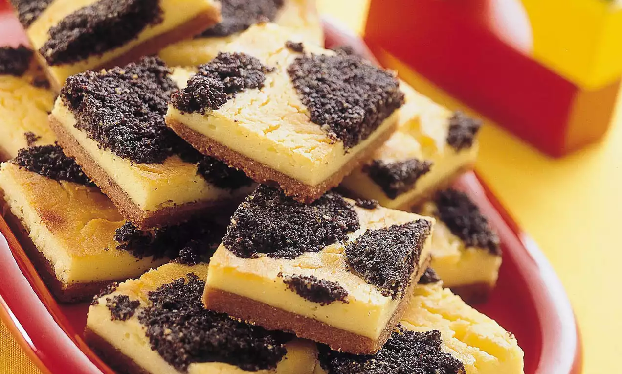 Dalmatiner-Kuchen mit gelber Quarkmasse und dunklen Kakaobröseln als Fleckenmuster auf braunem Boden auf roter Platte gestapelt
