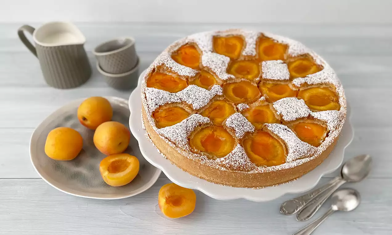 Pita s marelicama s poslaganim polovicama zlatnožutih plodova na svijetloj podlozi, posuta bijelim šećerom u prahu na bijelom stalku