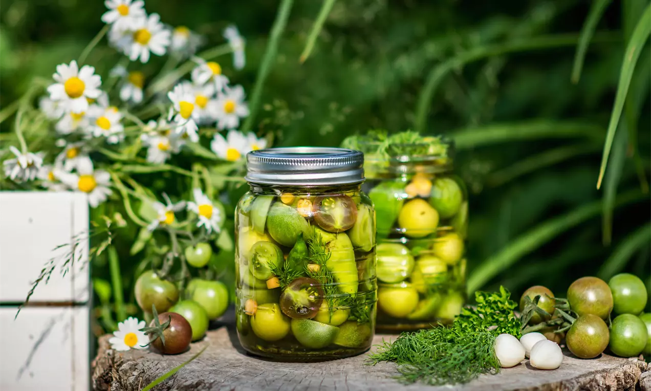 Туршия от зелени домати, кръгли и половинки, джанки с лъскава кора и малки люти чушки, потънали в бистра течност с копър в стъклен буркан