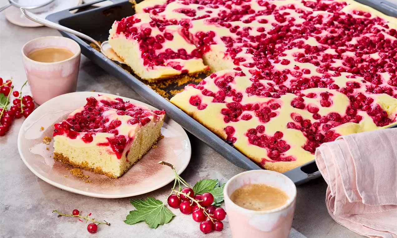 Johannisbeerkuchen mit Schmand auf Blech und Teller, Kaffeetasse – fruchtiger Rührteig mit cremigem Schmand-Belag und frischen Johannisbeeren. Einfaches Kuchenrezept für Sommer, Kaffee & Dessert.