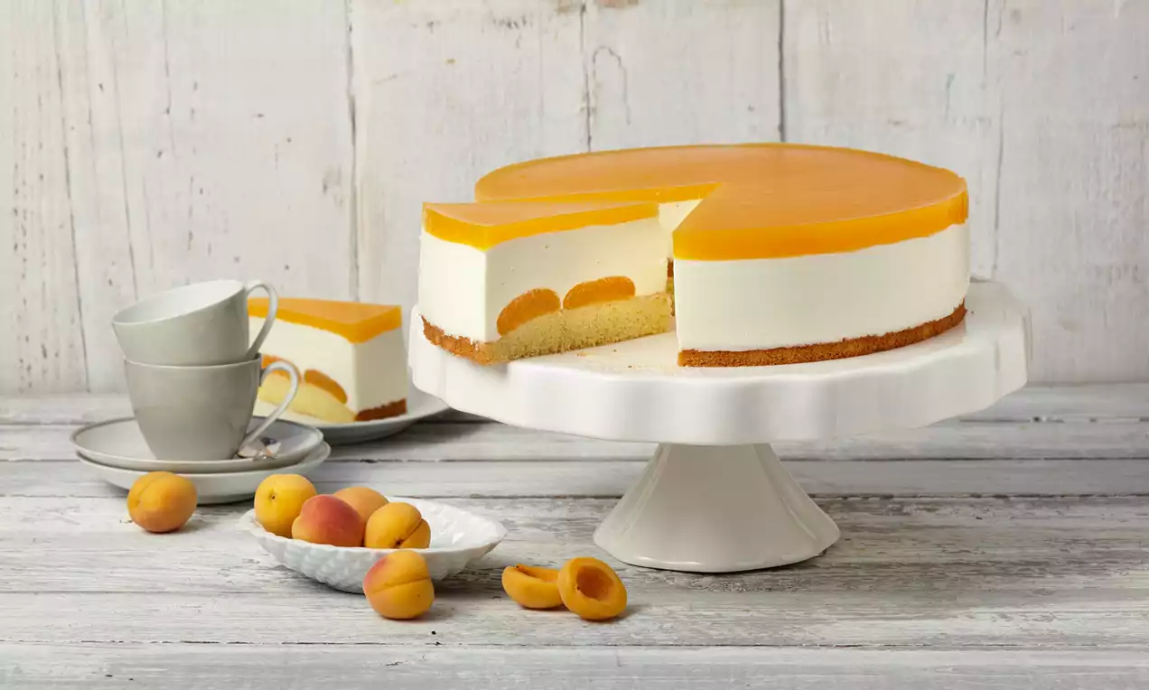 Joghurttorte mit kräftig orangefarbener Aprikosenschicht, heller Cremefüllung und dünnem Biskuitboden auf weißer Tortenplatte