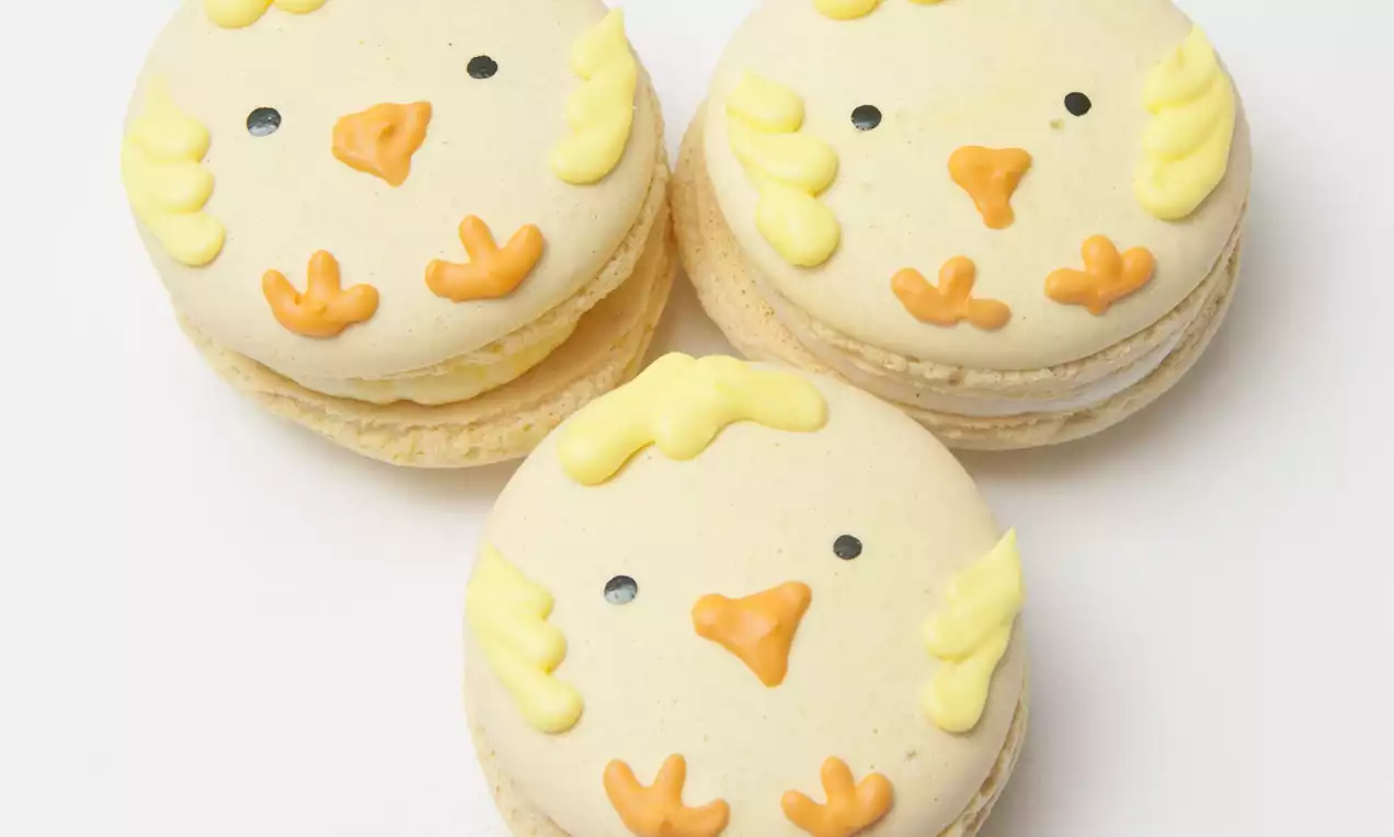 Drie ronde kuikenmacarons met crèmegele bovenkant, oranje snavel en pootjes, zwarte oogjes en lichte textuur op een witte achtergrond