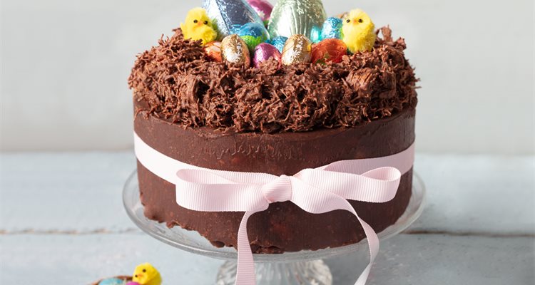 Easy Chocolate Cake Recipes | 🍰 Easy Cake Recipes