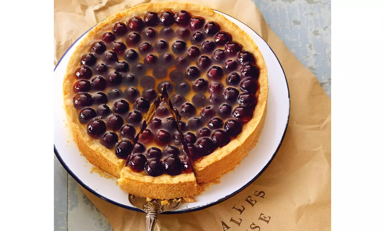 Runder Käsekuchen mit goldbraunem Rand und glatter Frischkäsefüllung, bedeckt von glänzenden dunklen Trauben auf weißer Platte