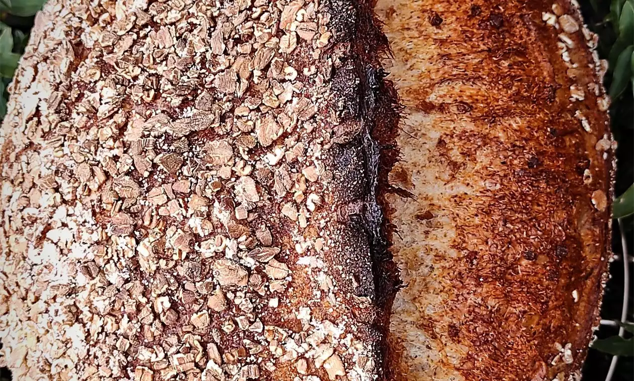 Okrugli kruh zlatnosmeđe kore, posut pirovim pahuljicama na polovici površine, smješten na žičanoj podlozi okružen zelenilom