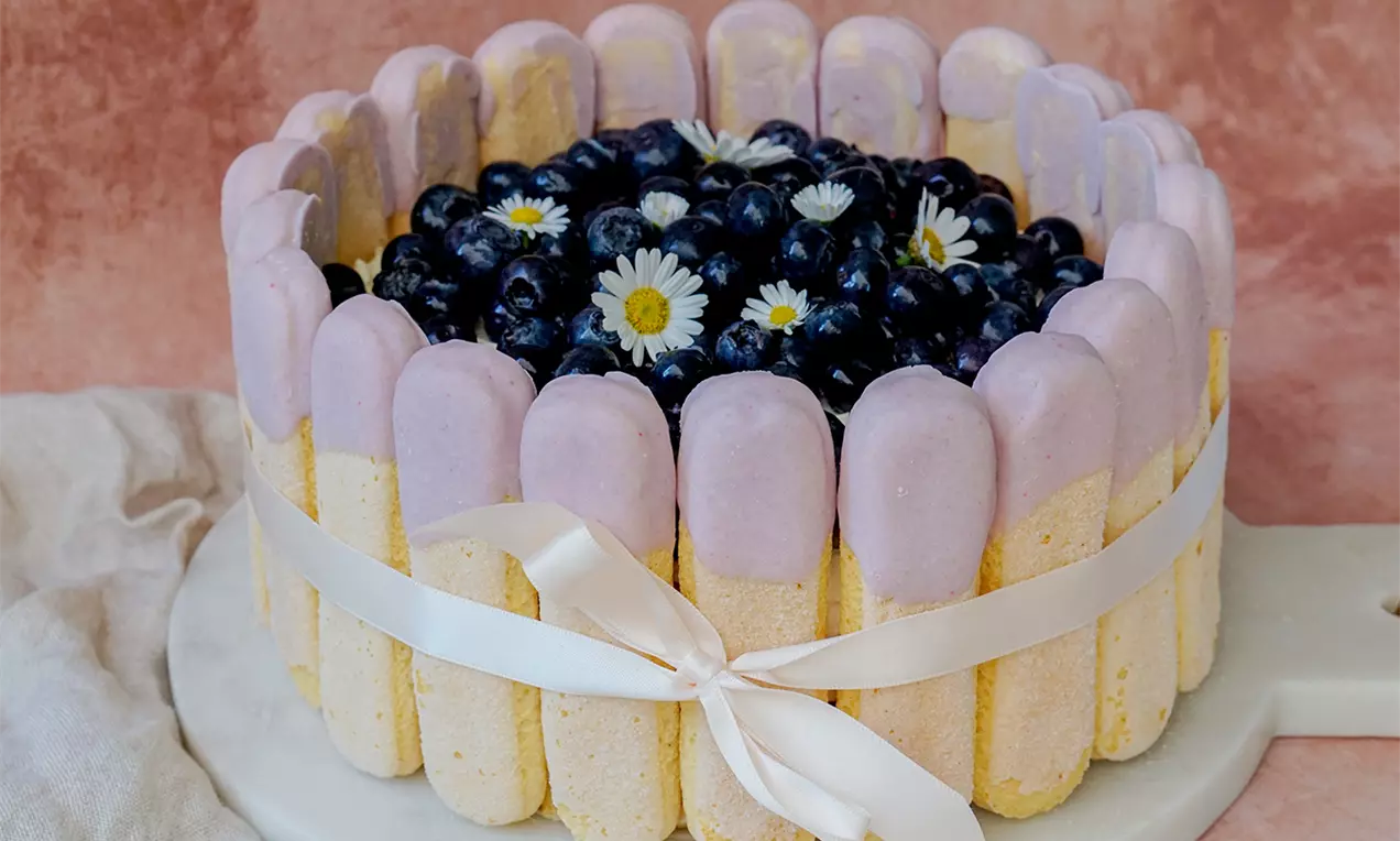 Zitronen Blaubeer Tiramisu Torte umhüllt von gelb-lila Löffelbiskuits mit Blaubeeren und weißen Gänseblümchen in der Mitte auf weißem Kuchenteller 