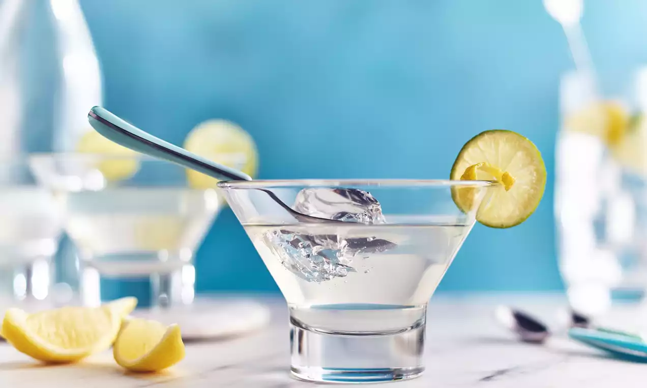 Prozirni gin-tonic žele u staklenoj širokoj čaši, ukrašen tankim kriškom limete na rubu i kašikom uronjenom u žele