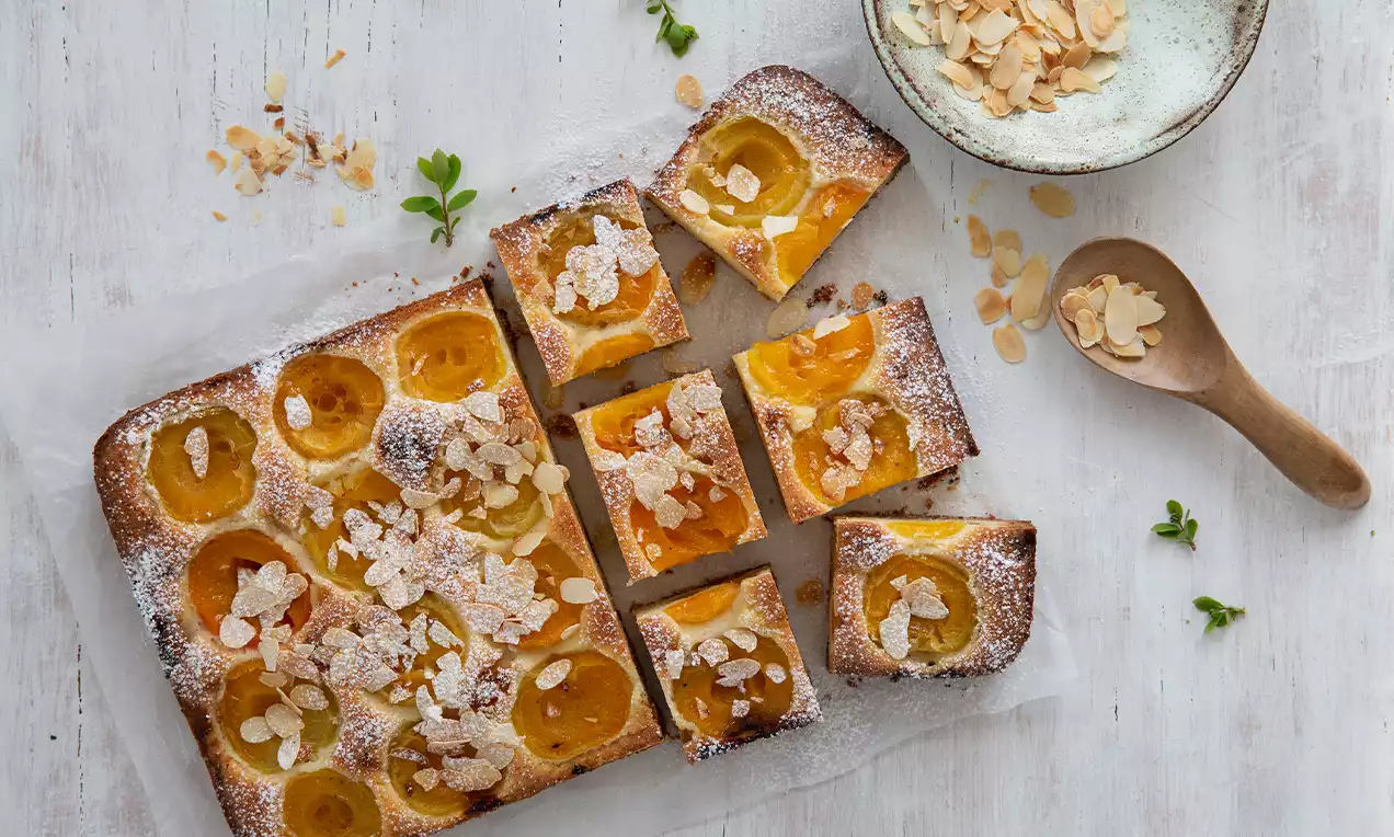Rechteckiger Blechkuchen mit goldgelben Aprikosenhälften, bestreut mit knusprigen Mandelblättchen und Puderzucker, auf hellem Untergrund