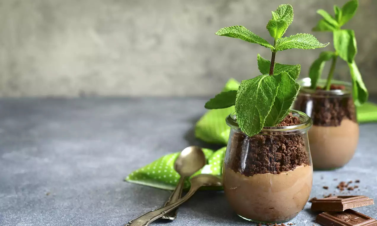 Dessert en verrine avec une mousse chocolatée marron, crumble sombre et feuilles fraîches de menthe simulant une petite plante