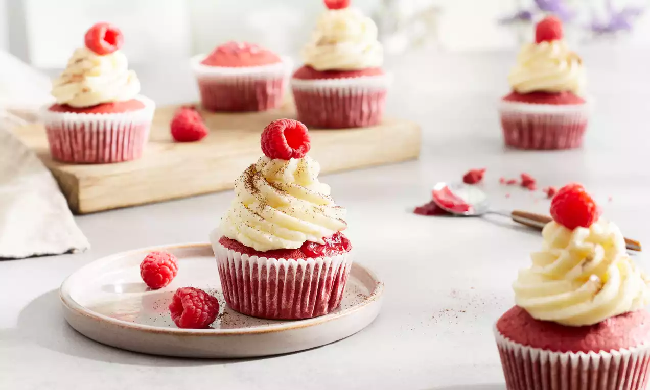 Red Velvet-Cupcakes mit dunkelrotem Teig und weißer, fein gespritzter Cremehaube, dekoriert mit frischen Himbeeren auf hellem Teller