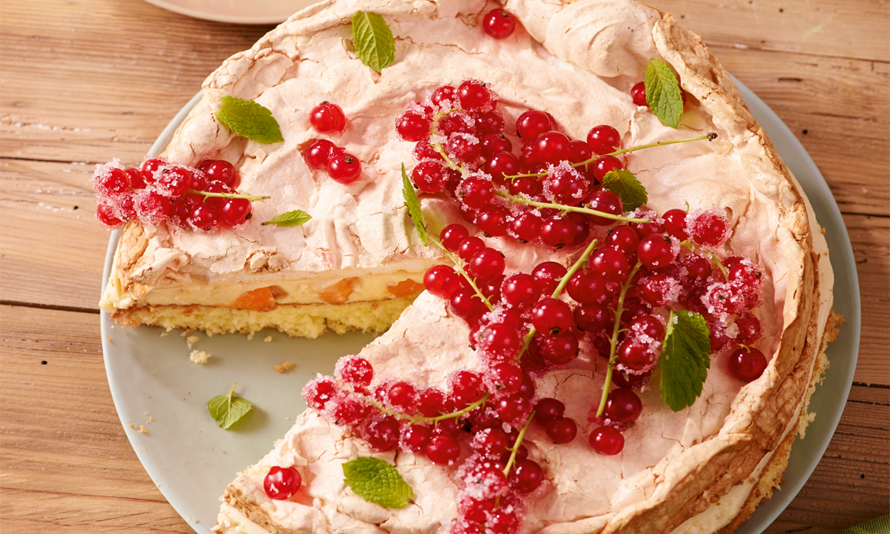 Marillen-Baiser-Torte Rezept | Dr. Oetker