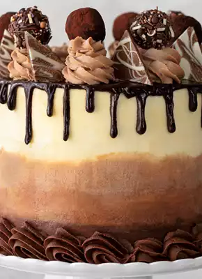 Dark Chocolate Speculoos Truffle Cake | The Cake Merchant