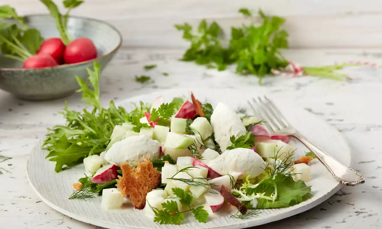Weiße Ziegenfrischkäse-Nocken auf grünem Salatbett mit Gurkenwürfeln, Radieschen, Kräutern und knusprigem Brot auf einer hellen Keramikplatte
