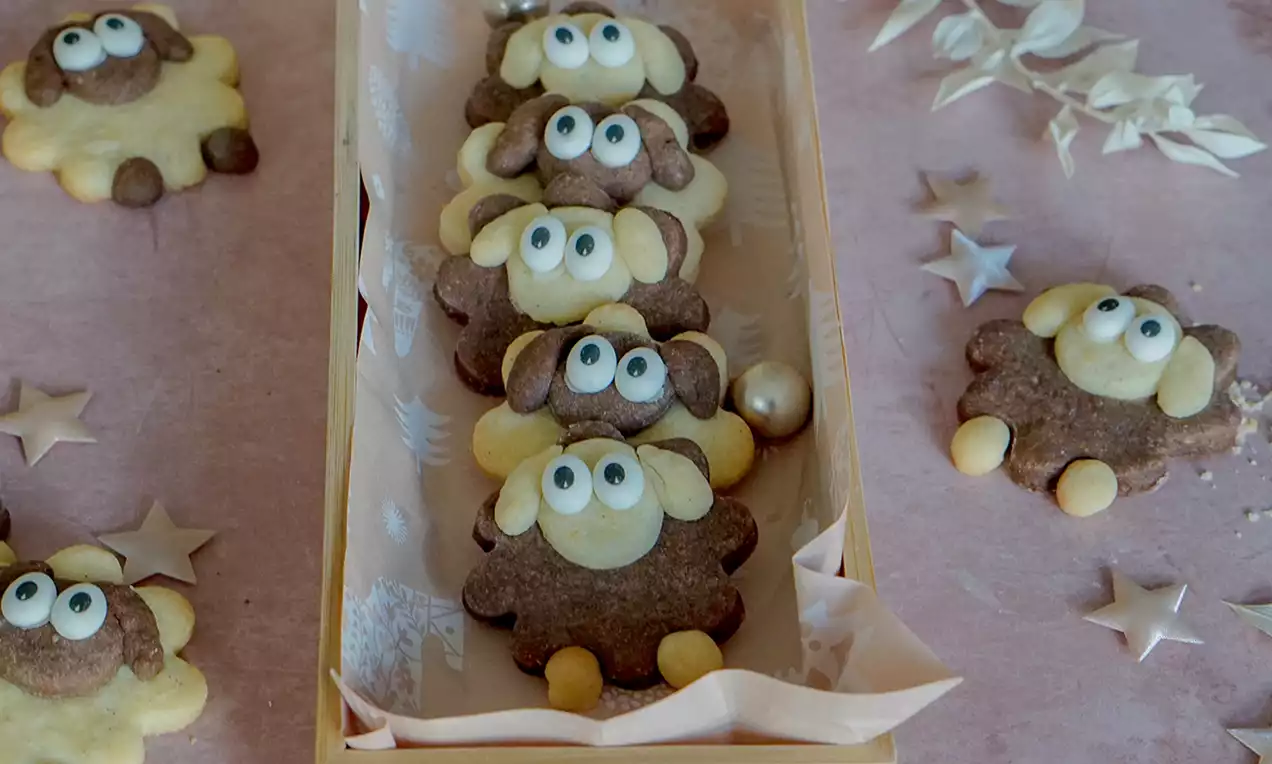 Niedliche Weihnachtsschäfchen-Plätzchen aus hell- und schokoladenfarbenem Teig mit Zuckeraugen, in einer Holzschachtel auf rosa Hintergrund