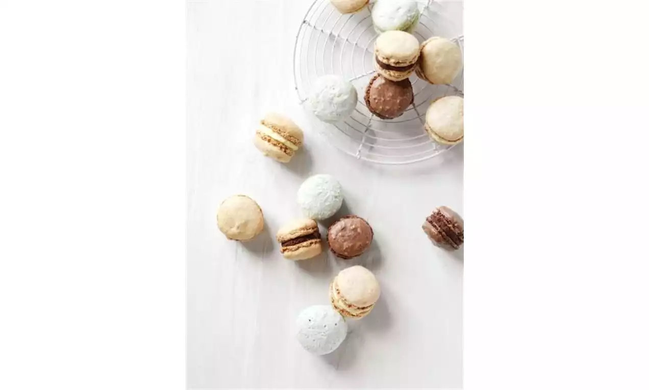 Macarons i ljusa toner av beige, vitt, brunt och blekblått med fyllning, spridda på vit yta och liggande delvis på metallgaller