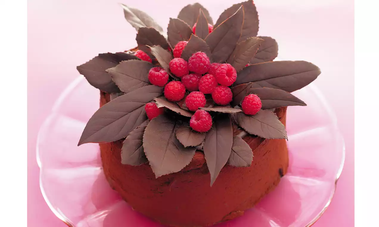Gâteau au chocolat à la texture lisse garni de feuilles chocolatées brillantes et de framboises rouges disposées en bouquet sur un plat rose