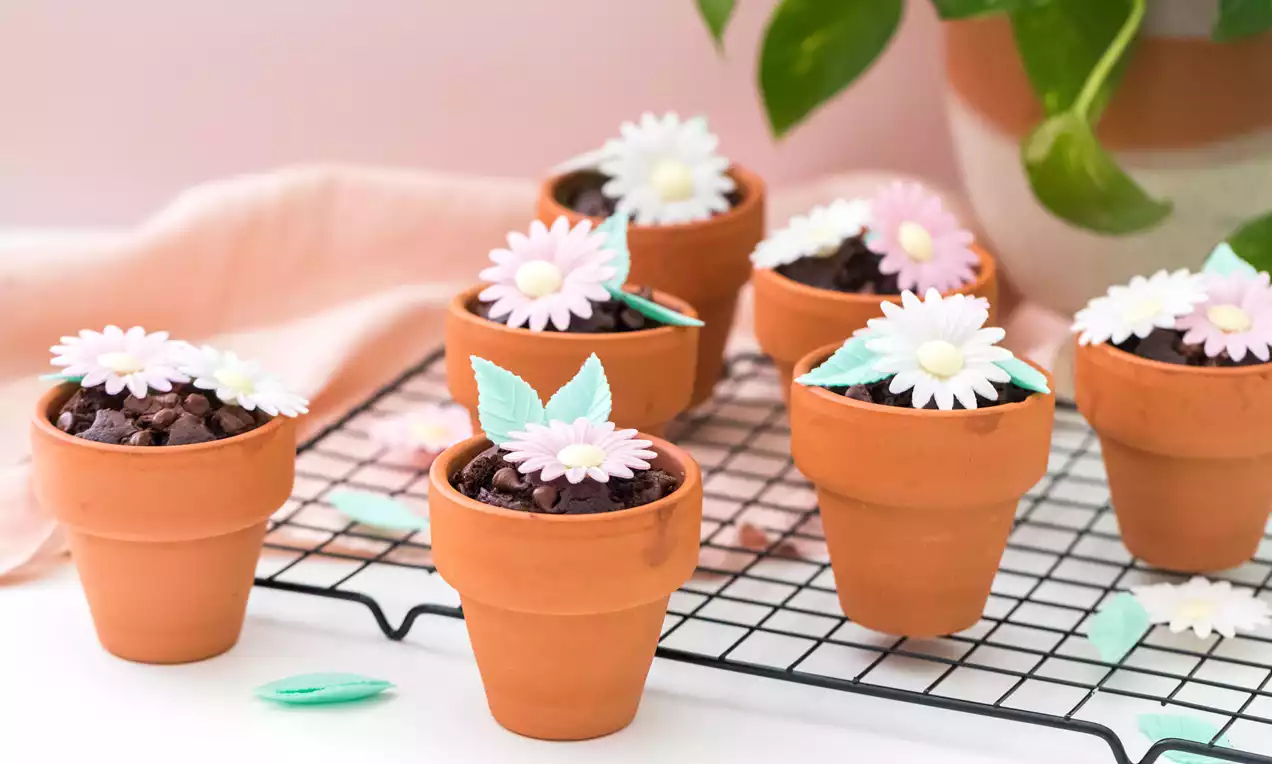 Pequeñas macetas de terracota con bizcocho oscuro de textura granulada, decoradas con flores y hojas coloridas sobre una rejilla metálica