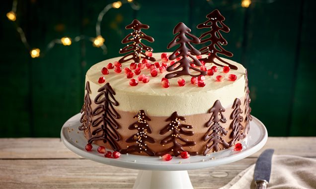 Weihnachtliche Schoko-Nuss-Torte Rezept | Dr. Oetker