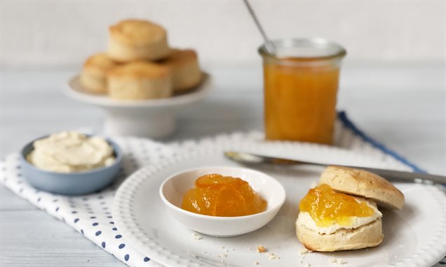 Orangenmarmelade nach schottischer Art Rezept | Dr. Oetker