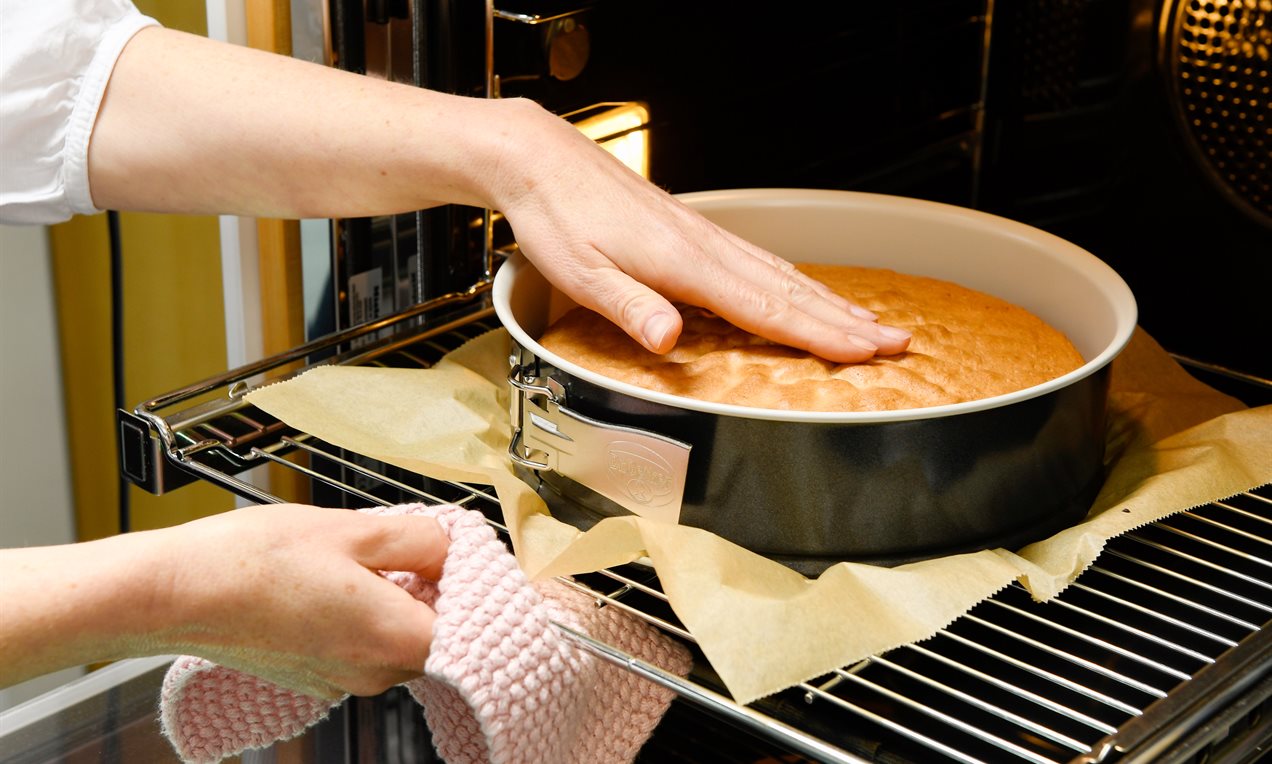 Garprobe Springform-3661 ret бг