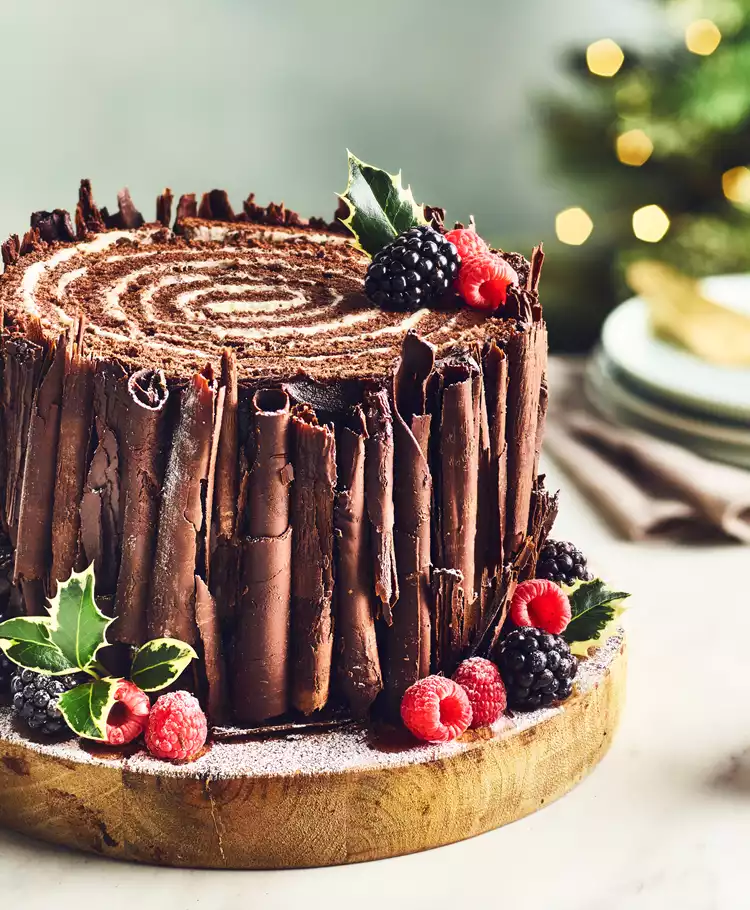 Easy Chocolate Yule Log Cake