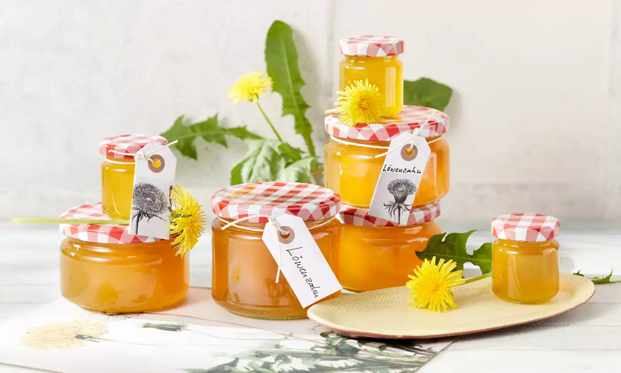 Gläser mit goldgelbem Löwenzahngelee und rot-weiß karierten Deckeln, arrangiert mit Löwenzahnblüten und Blättern auf hellem Untergrund