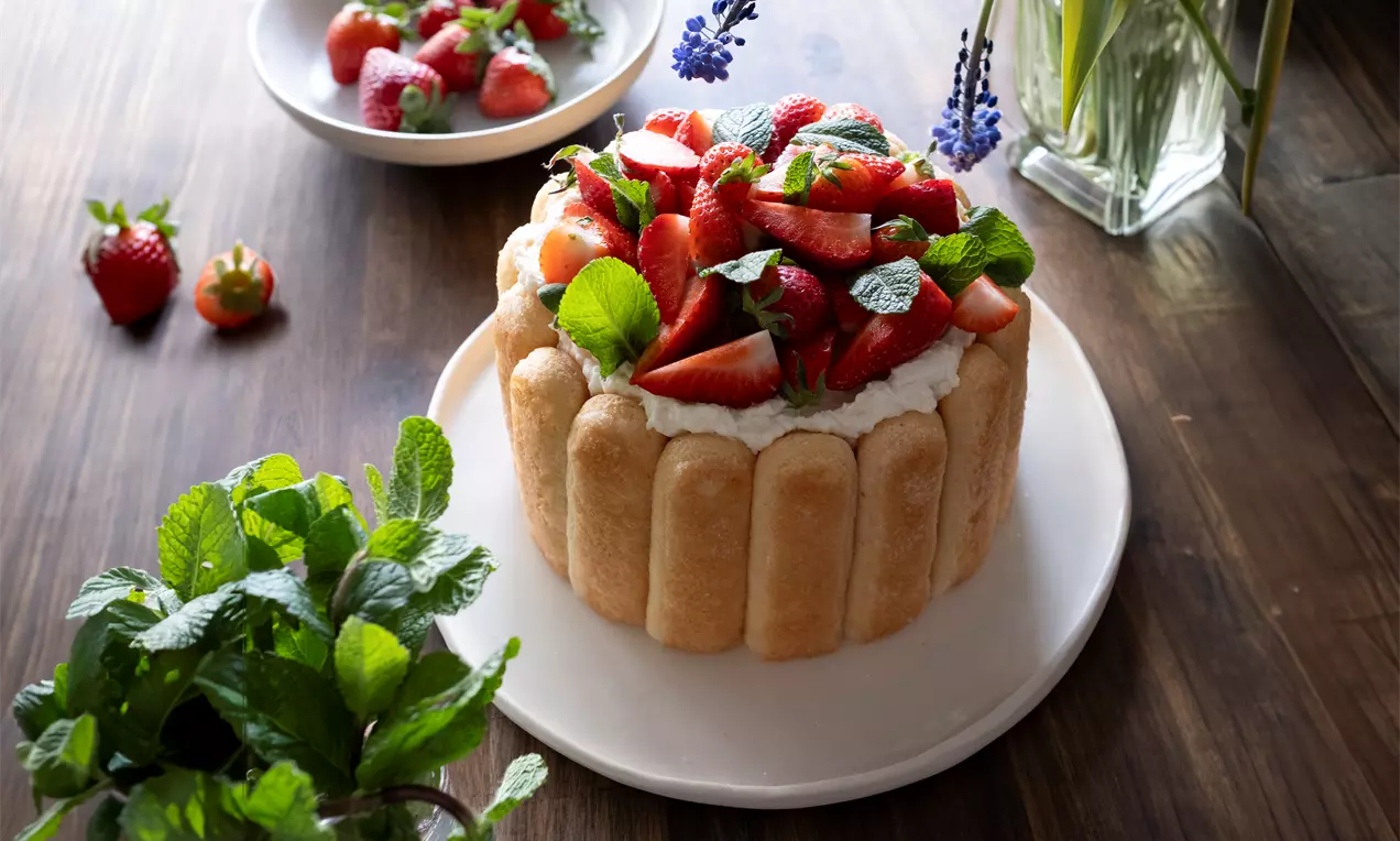 Кръгла шарлота с кашмирени бишкоти, пълнеж от бяла сметана и свежи ягоди, гарнирана с листа мента върху бяла чиния