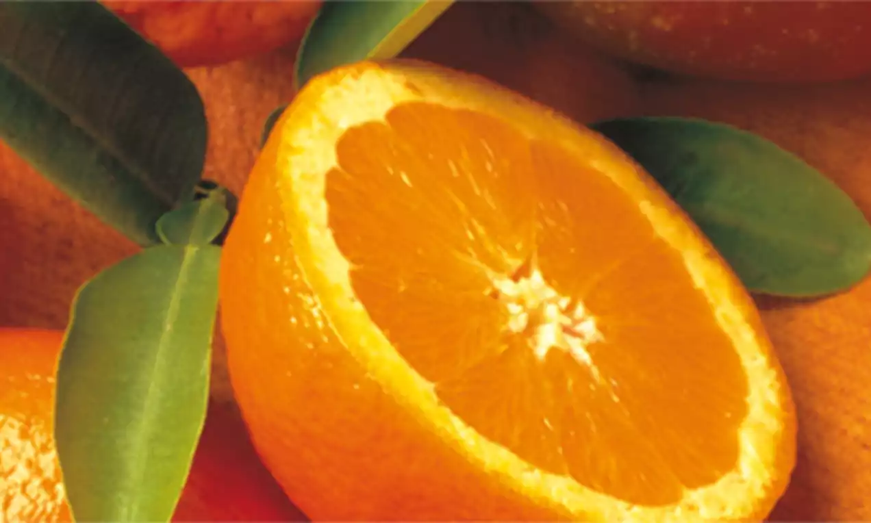 Moitié d’orange juteuse aux contours lisses éclatant d’un orange vif avec des feuilles vertes brillantes posées à ses côtés