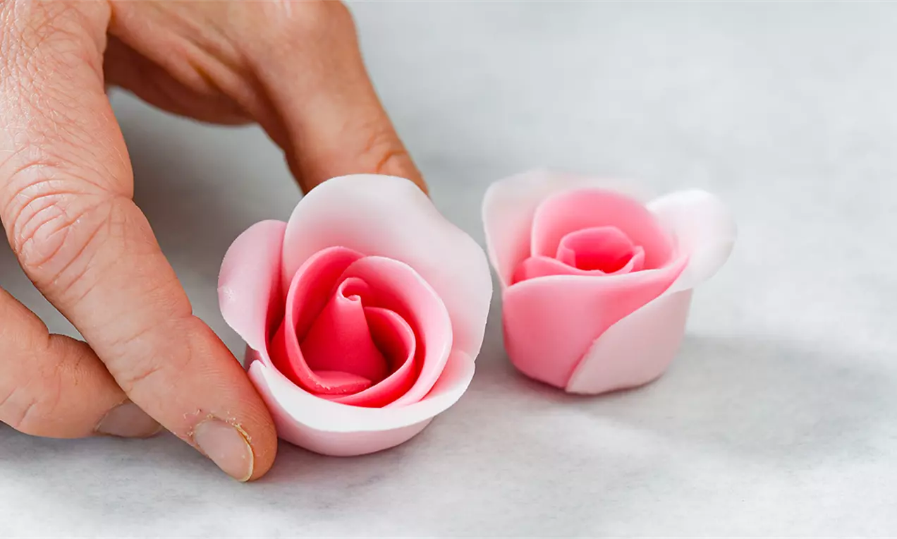 Две захарни рози с преливащи нюанси от бледо розово към ярко циклама в нежно извити листенца върху светла повърхност