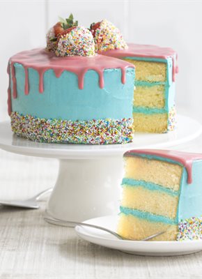 Sprinkle Party Cake Recept | Oetker